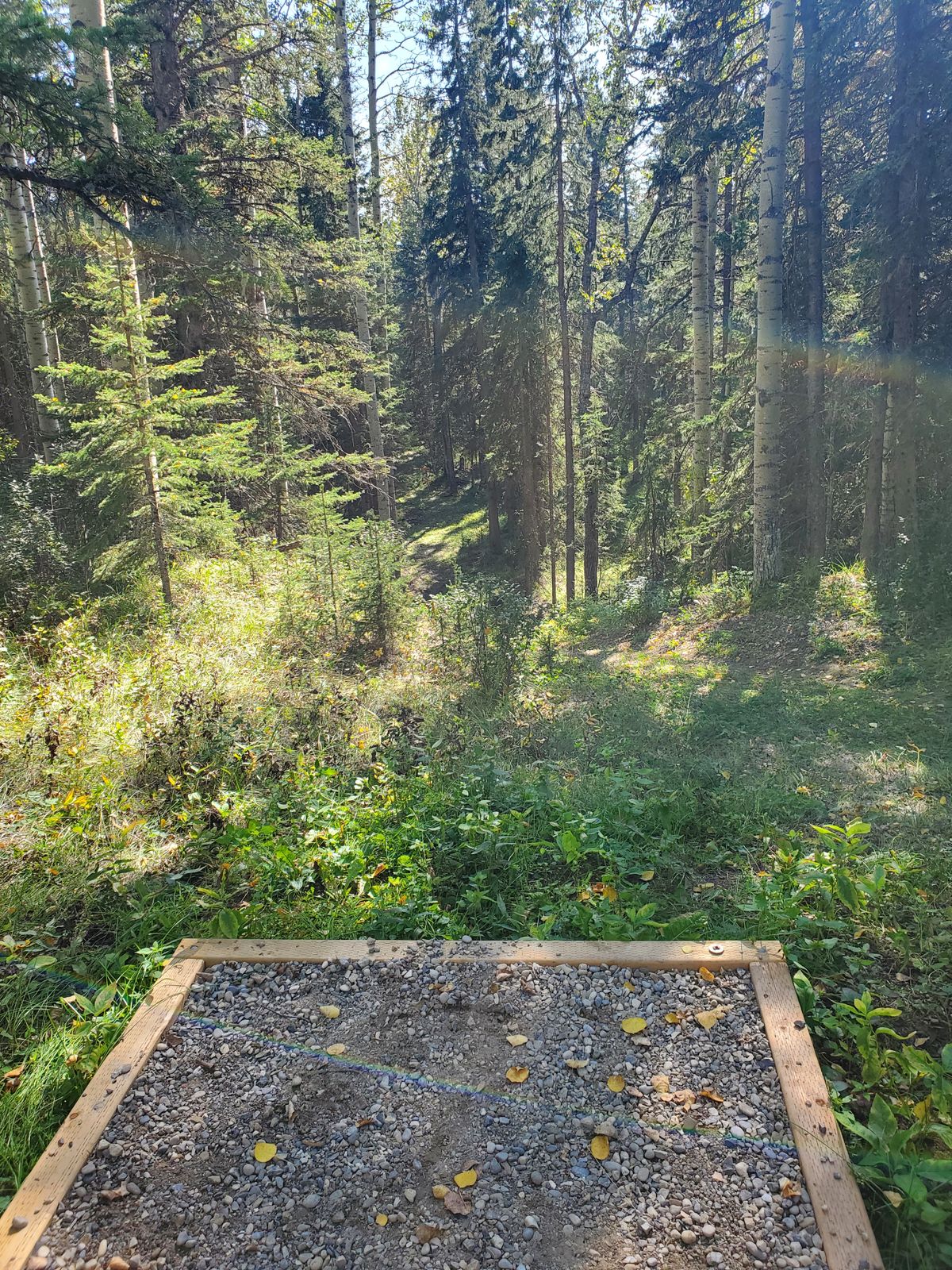 Hole 7