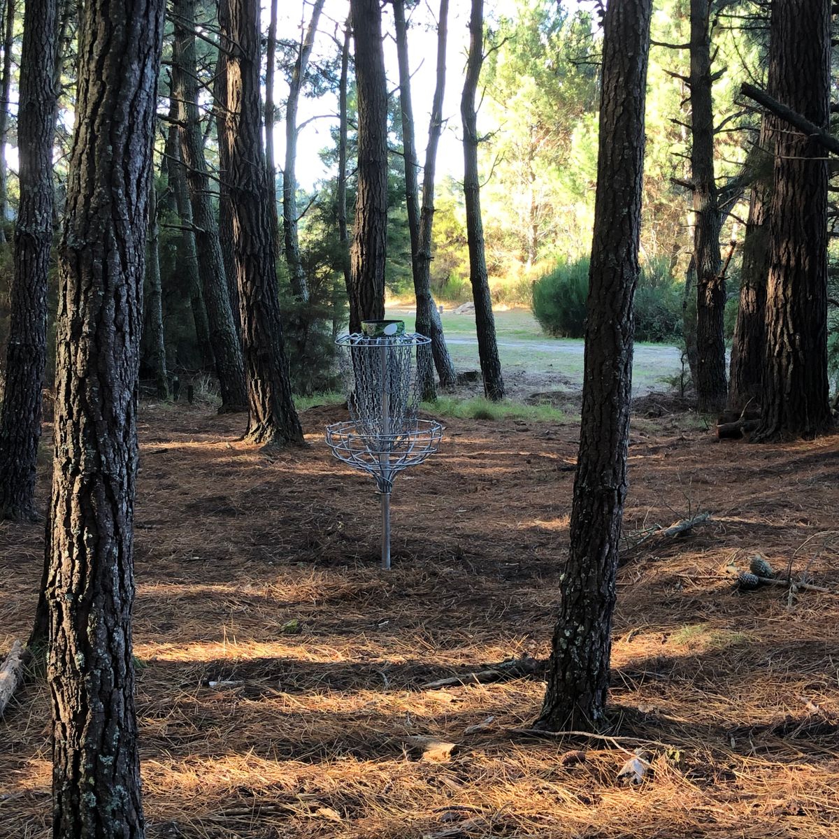 Hole 2 (old basket)