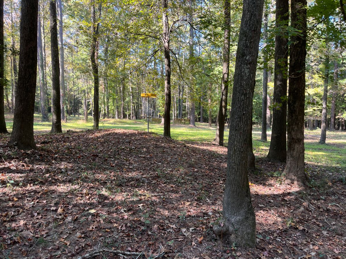 Hole 4 approach