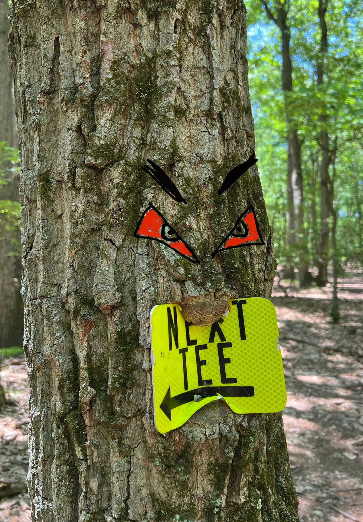 The signs aren’t the only thing these trees want to gobble up