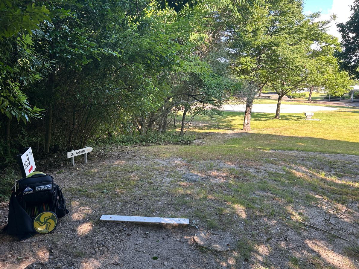 Hole 9 from tee, high understable hyzer