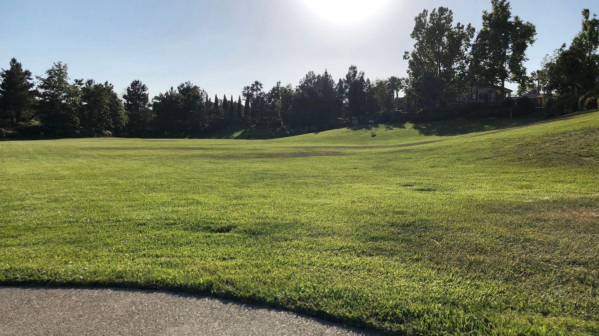 Hole 8
