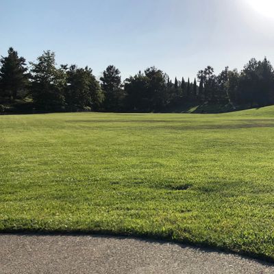 Hole 8