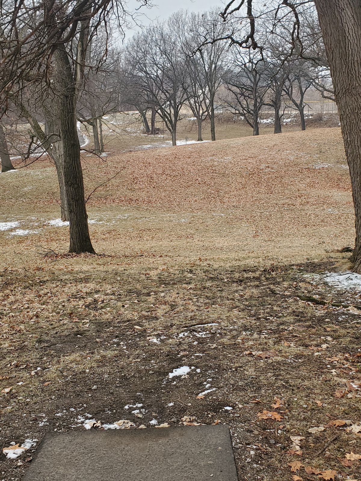 Hole 9
