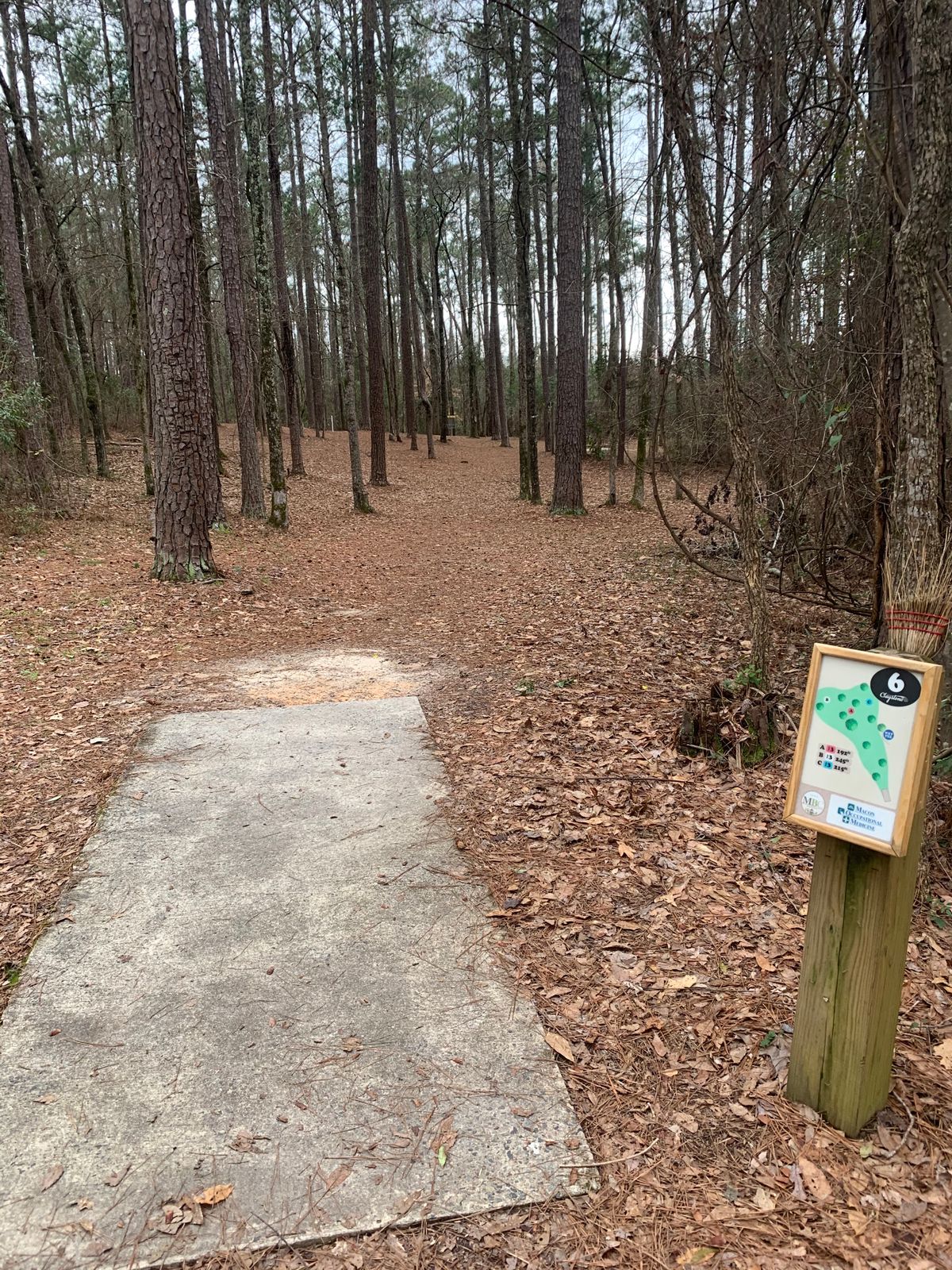 Hole 6