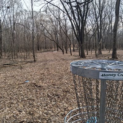 Hole 9 basket