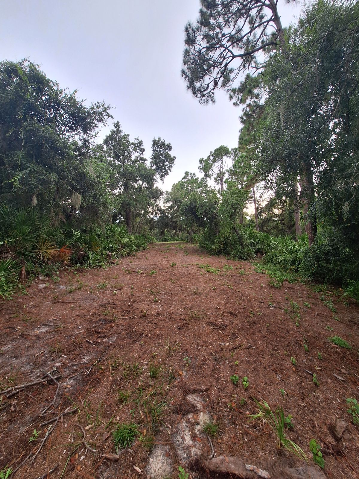 Hole 6 fairway looking at the pin