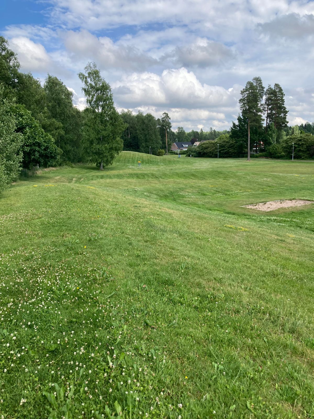 Treans utkast