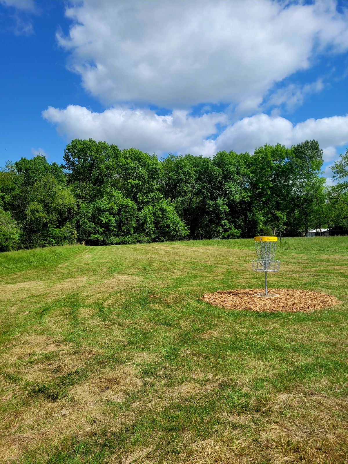 Hole 5
Basket to Tee