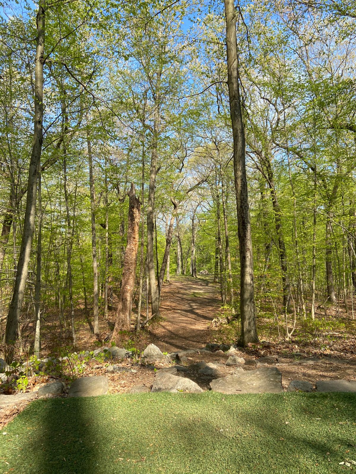 Hole 3