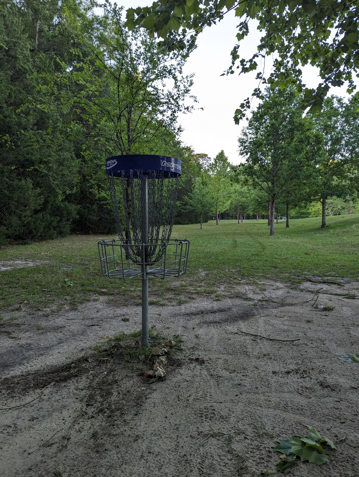 Short position looking back up the fairway.