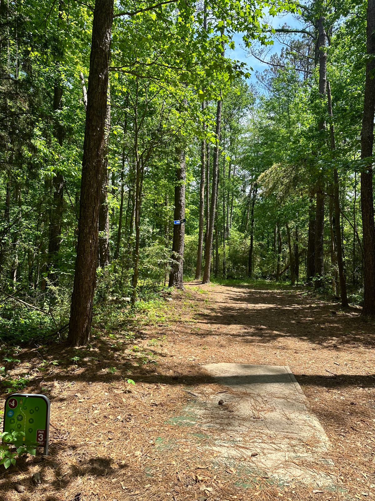 Hole 4