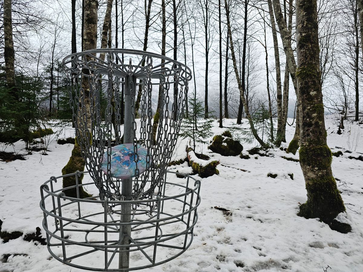 Hole 5