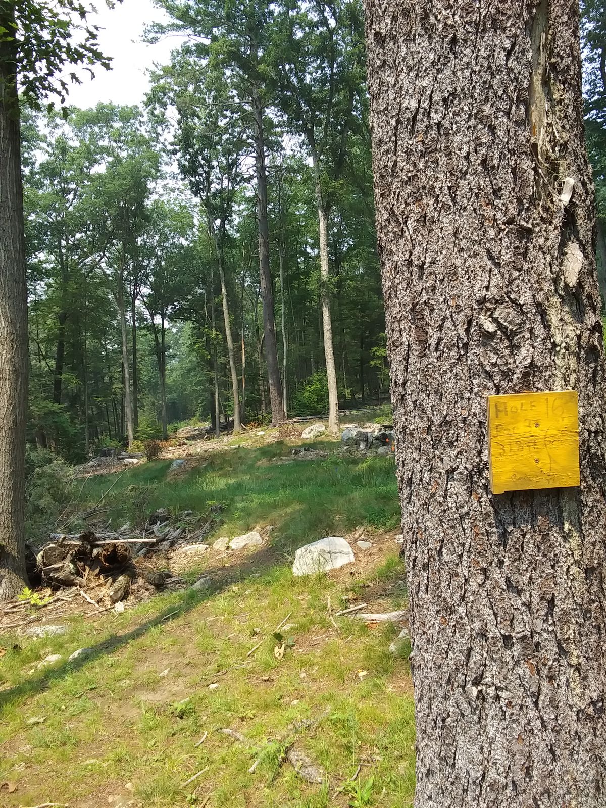 Hole 16