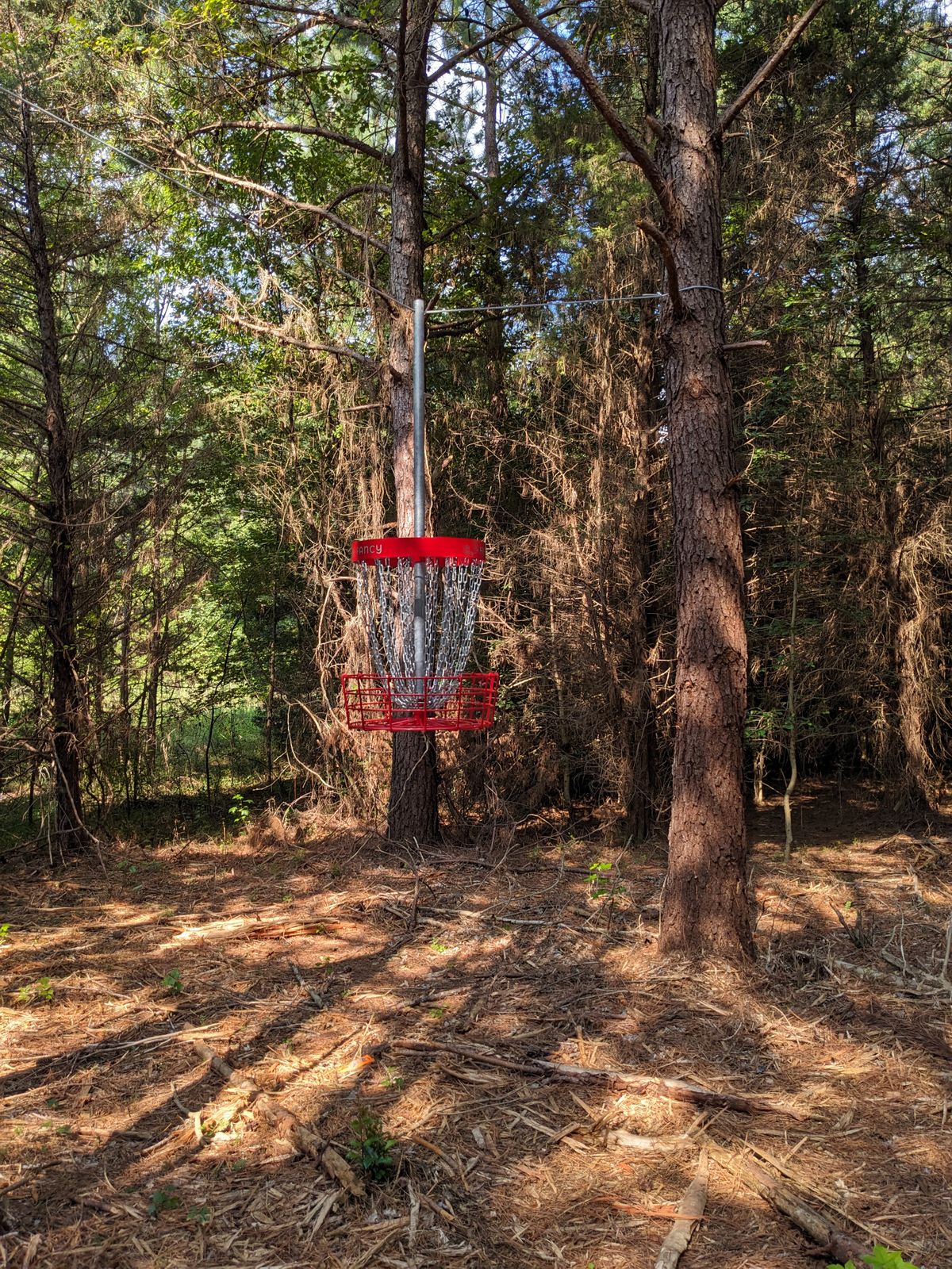 Hole 8's elevated basket