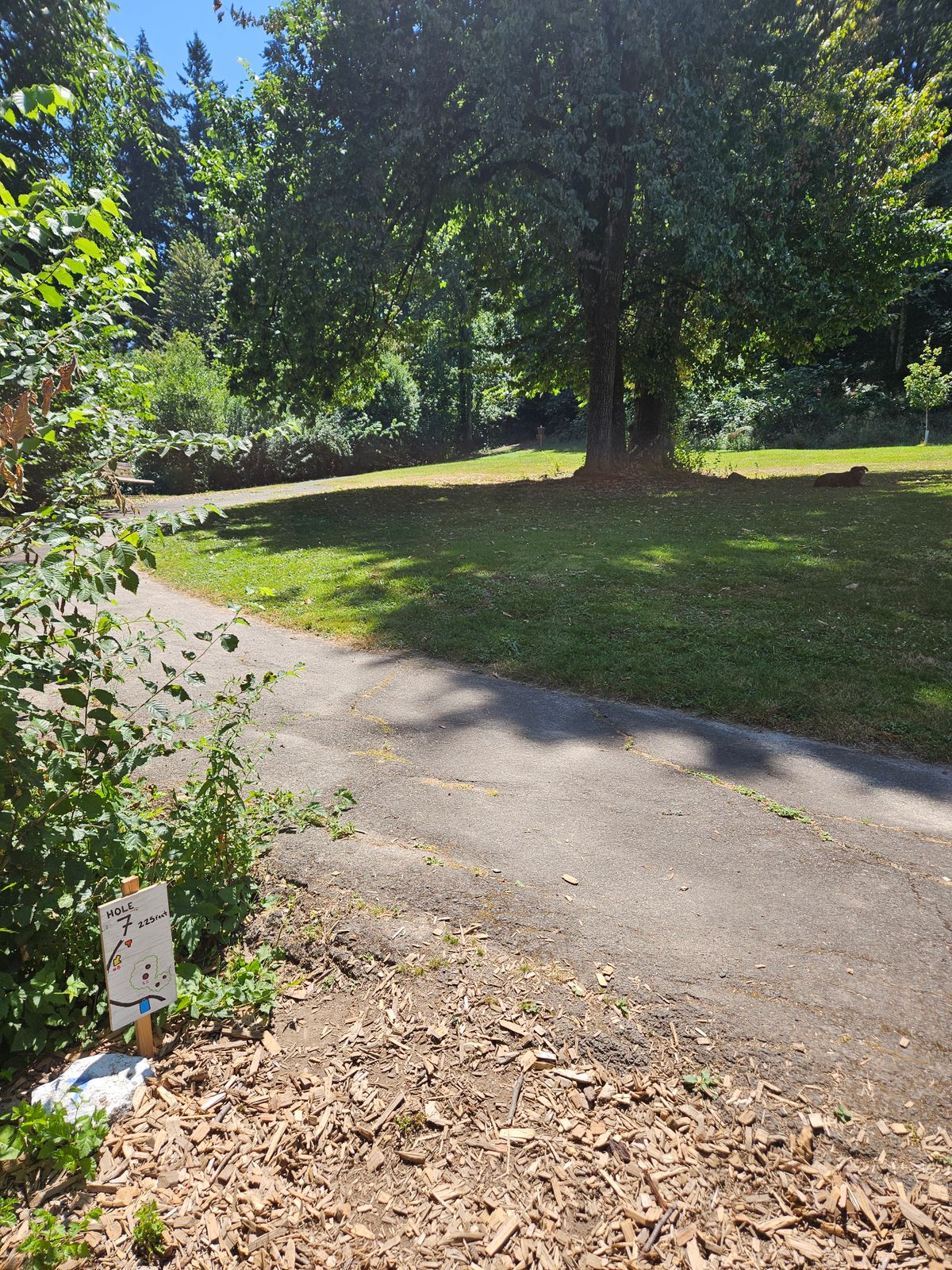 Hole #7 from teepad