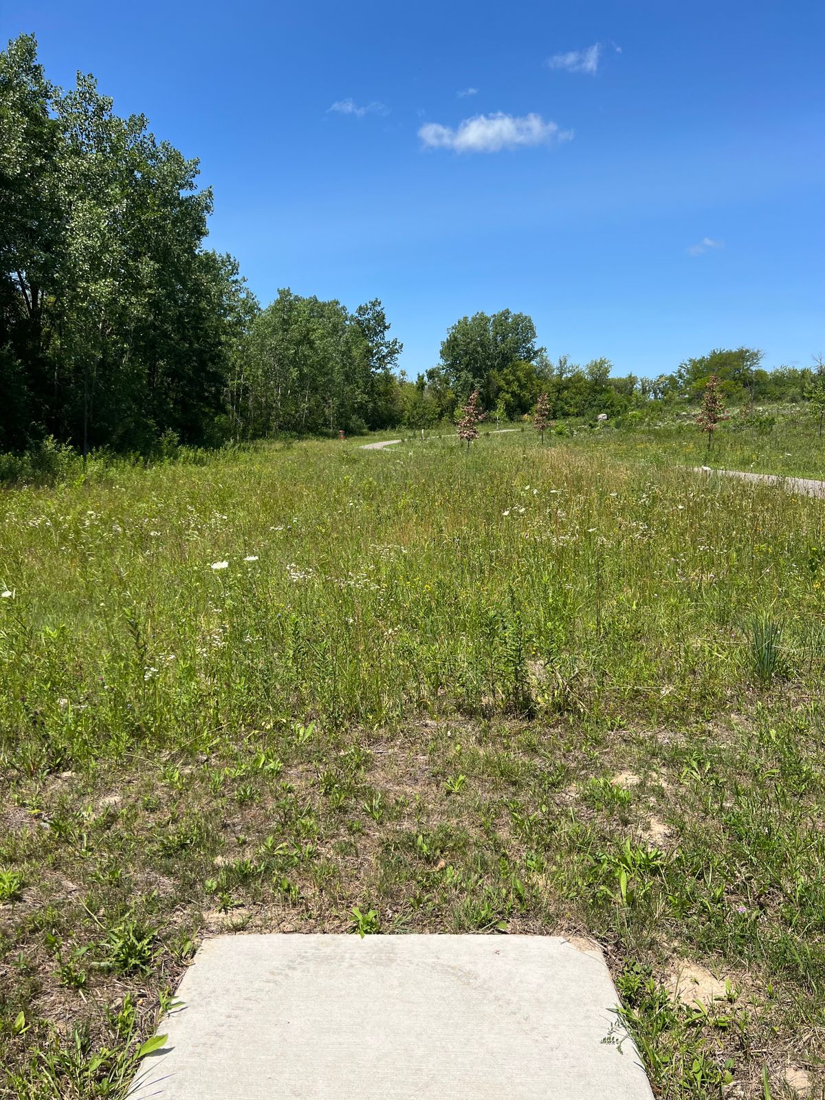 Tee 2