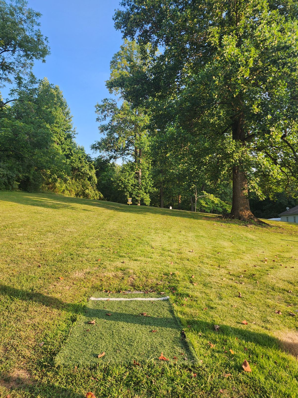 Hole 11
Throw past basket 1 and hole 2 tee pad to basket for hole 2