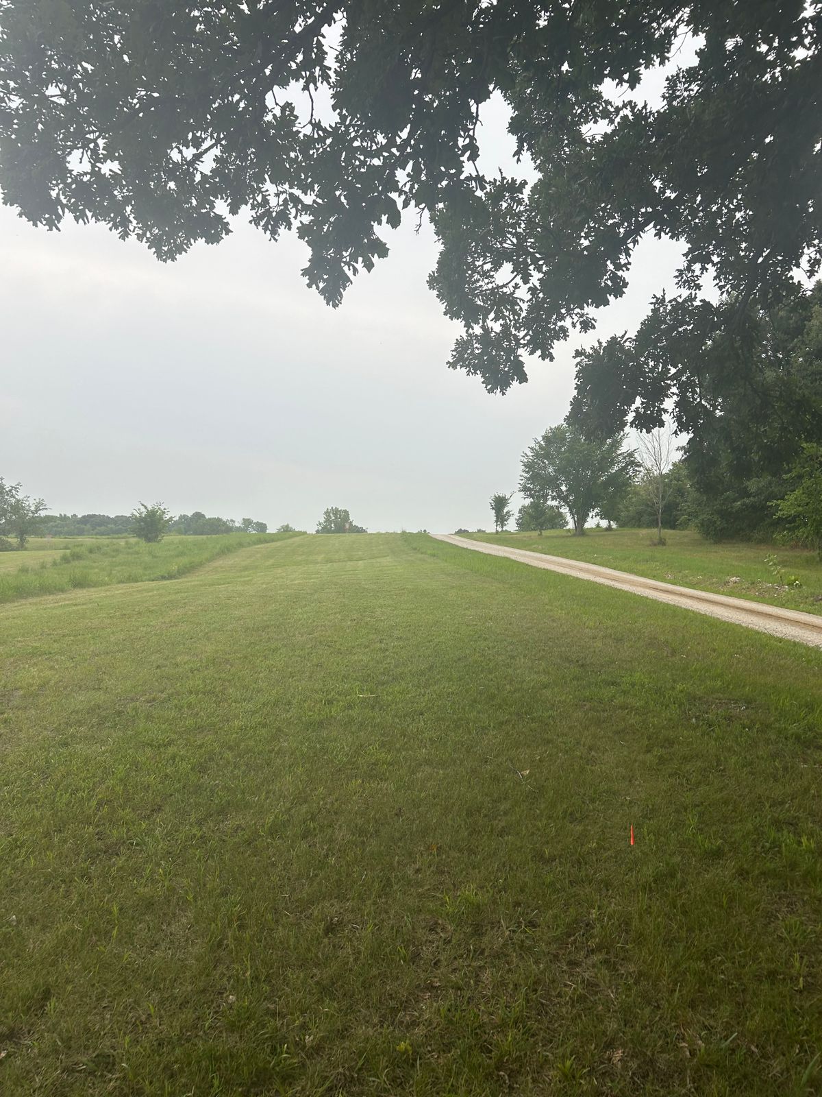 Hole 8 love the shade tree