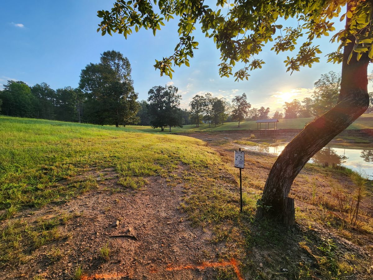 Hole 14 tee