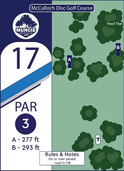 Hole 17