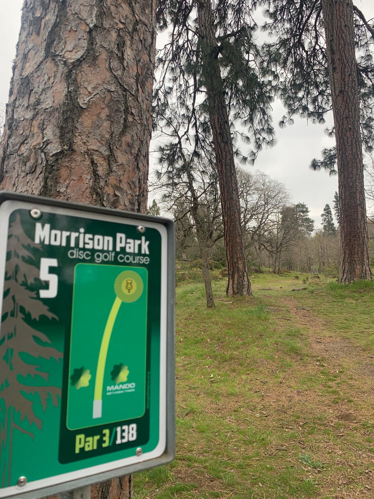 5th tee
