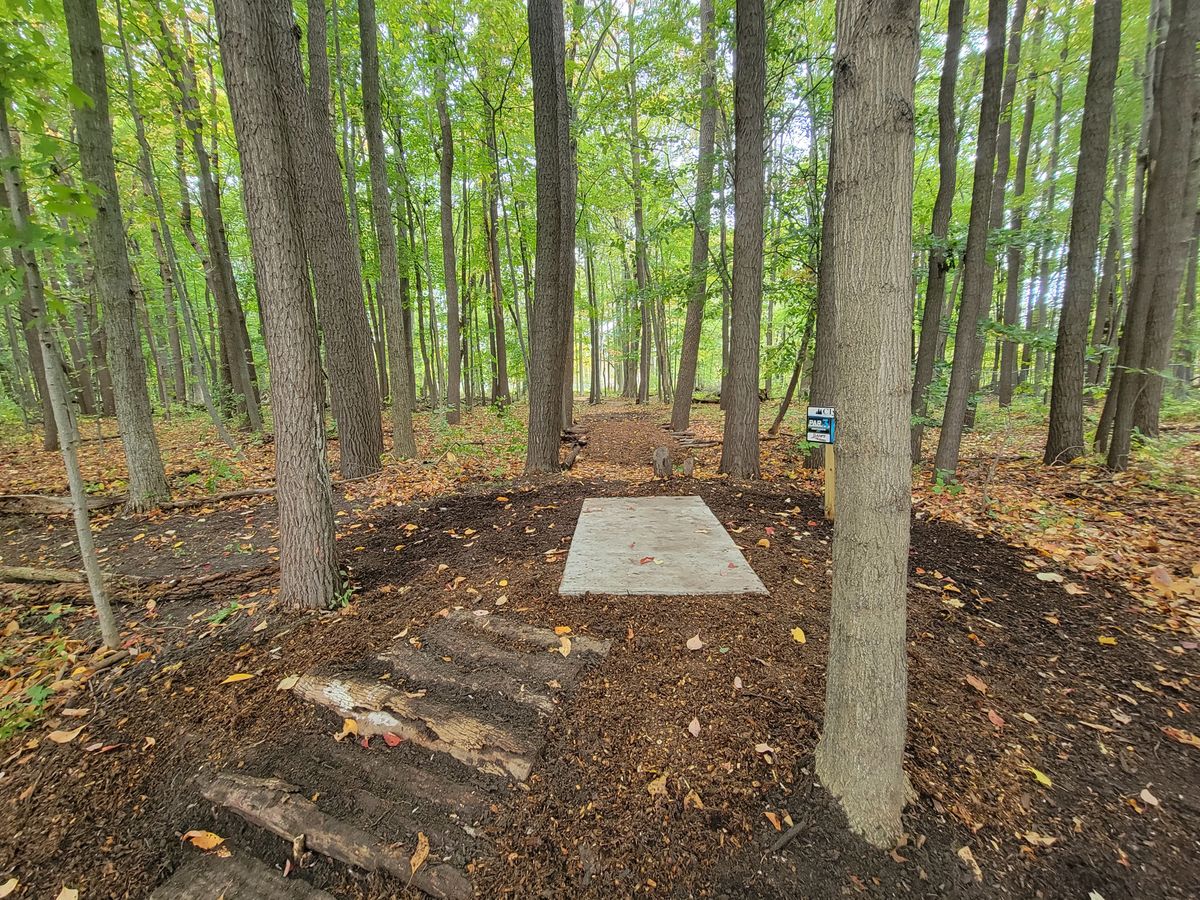 Hole 9s short tee pad.