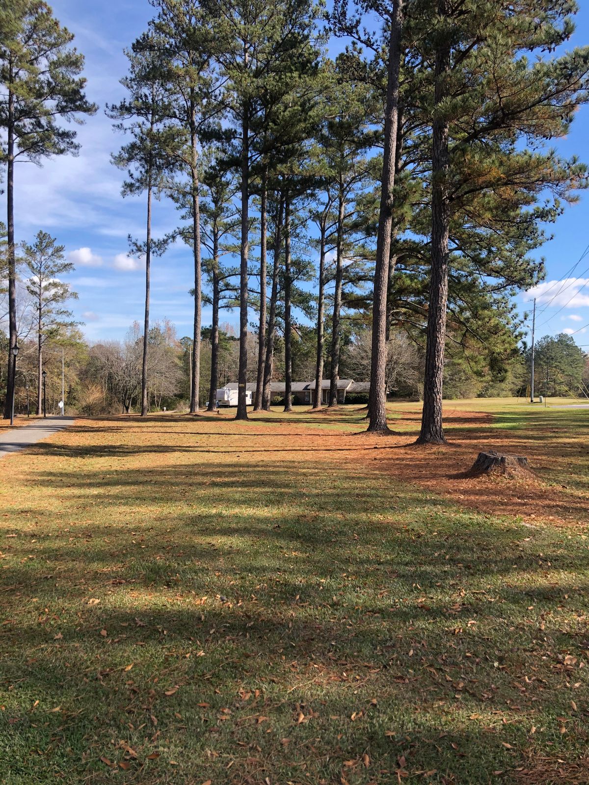 Hole 7