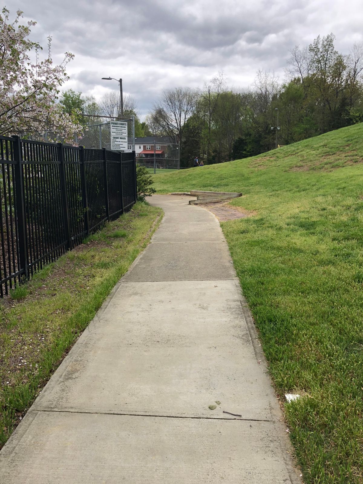 Hole 5 Tee
