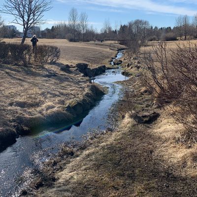 Fairway hole 5 parallel to the river 🐟