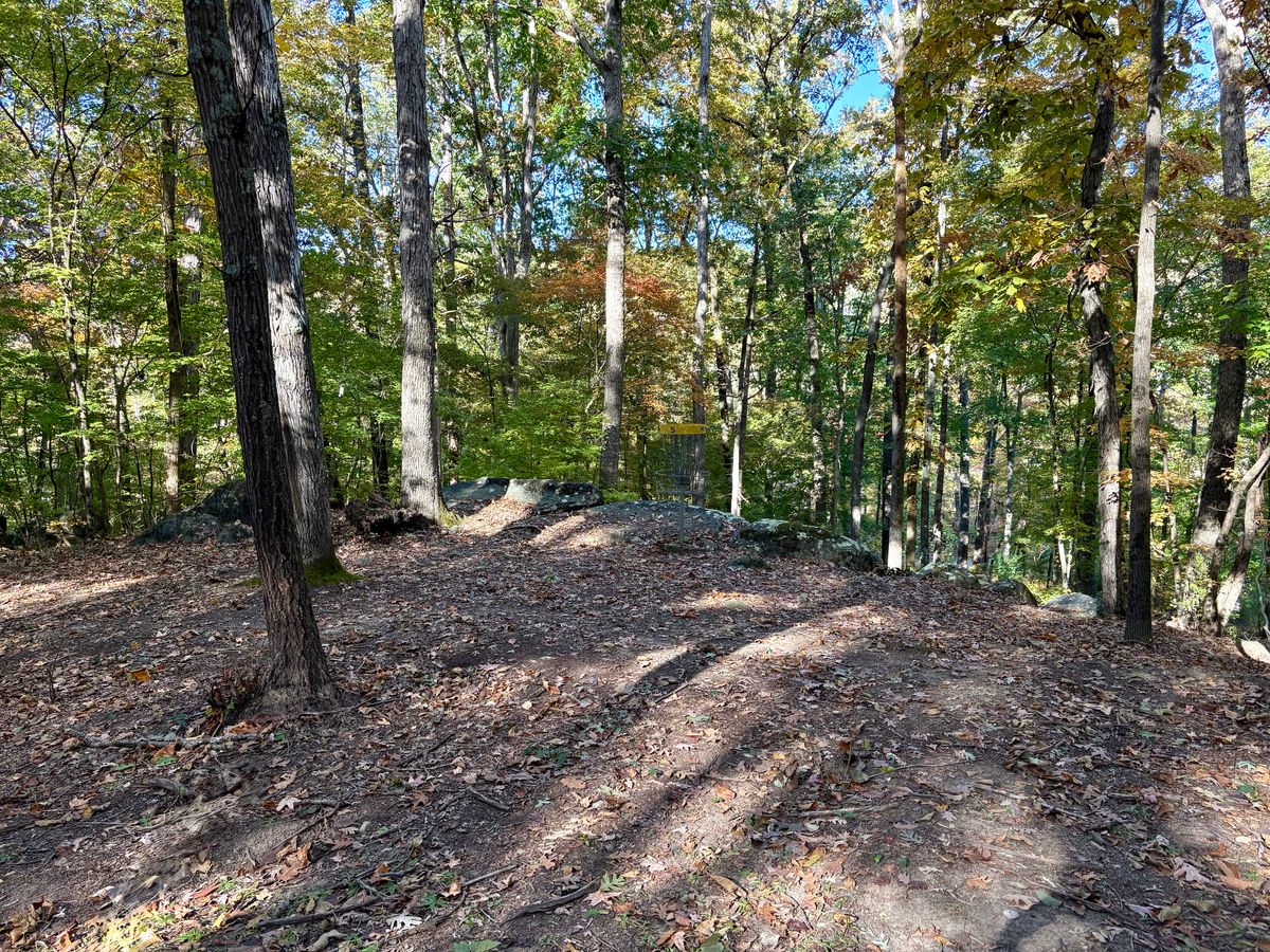 Hole 5 approach