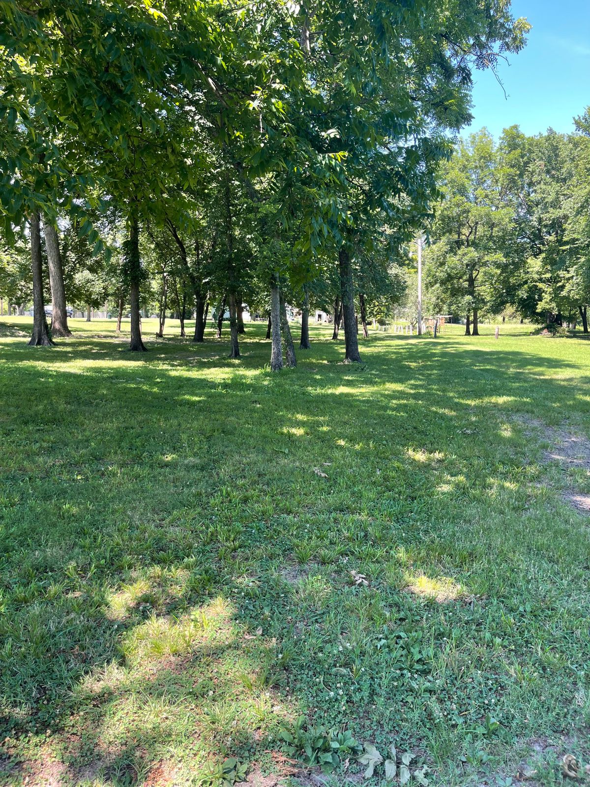 Hole 10 around trees in open area