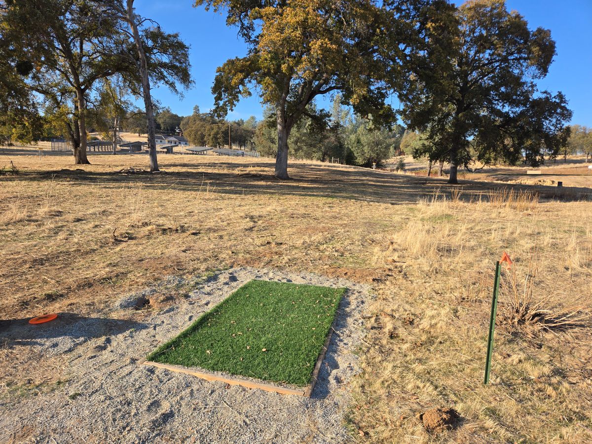 Hole 8 after mowing.