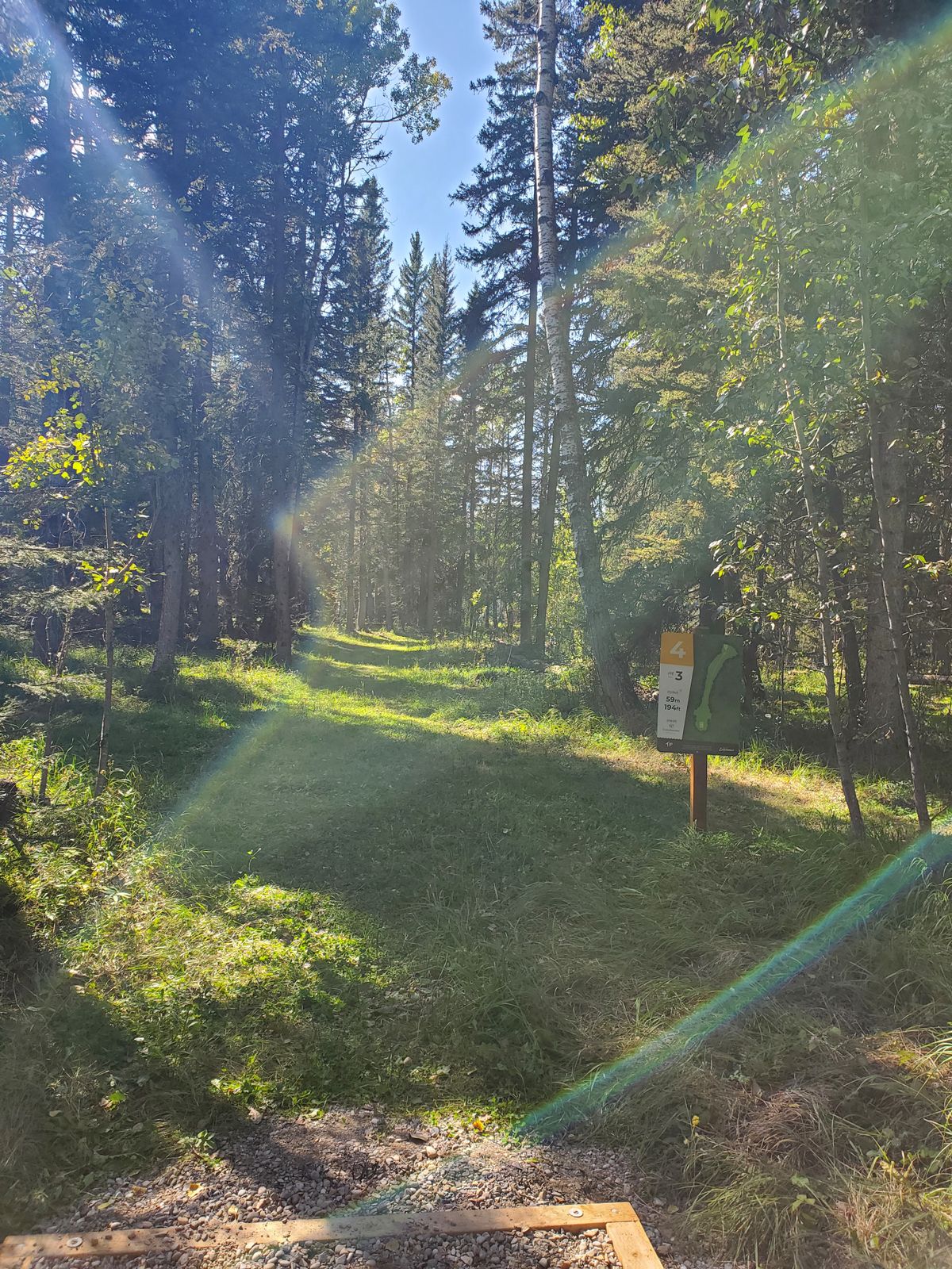 Hole 4