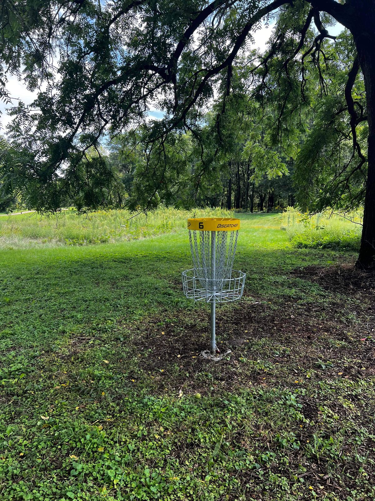Hole 6 Basket