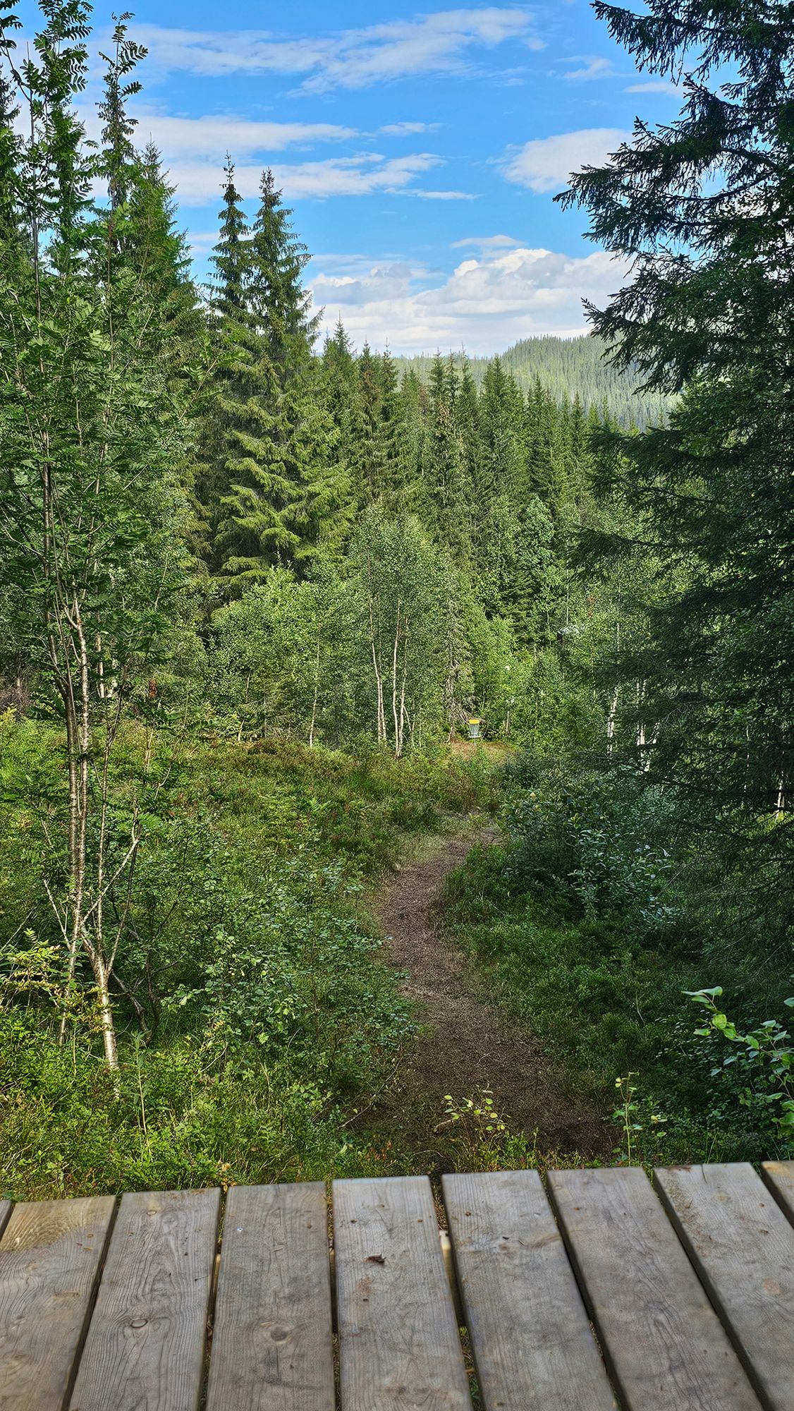 Tight fairway