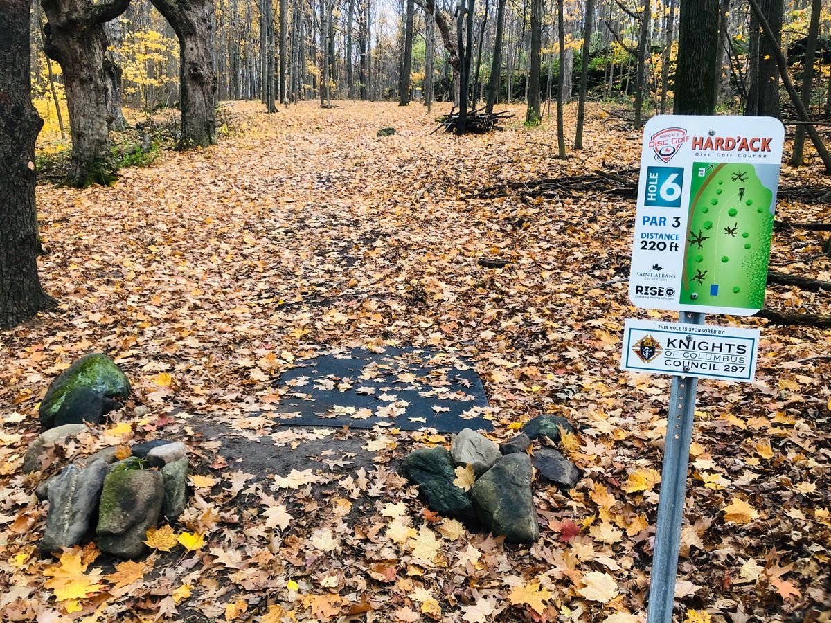 A view of hole 6