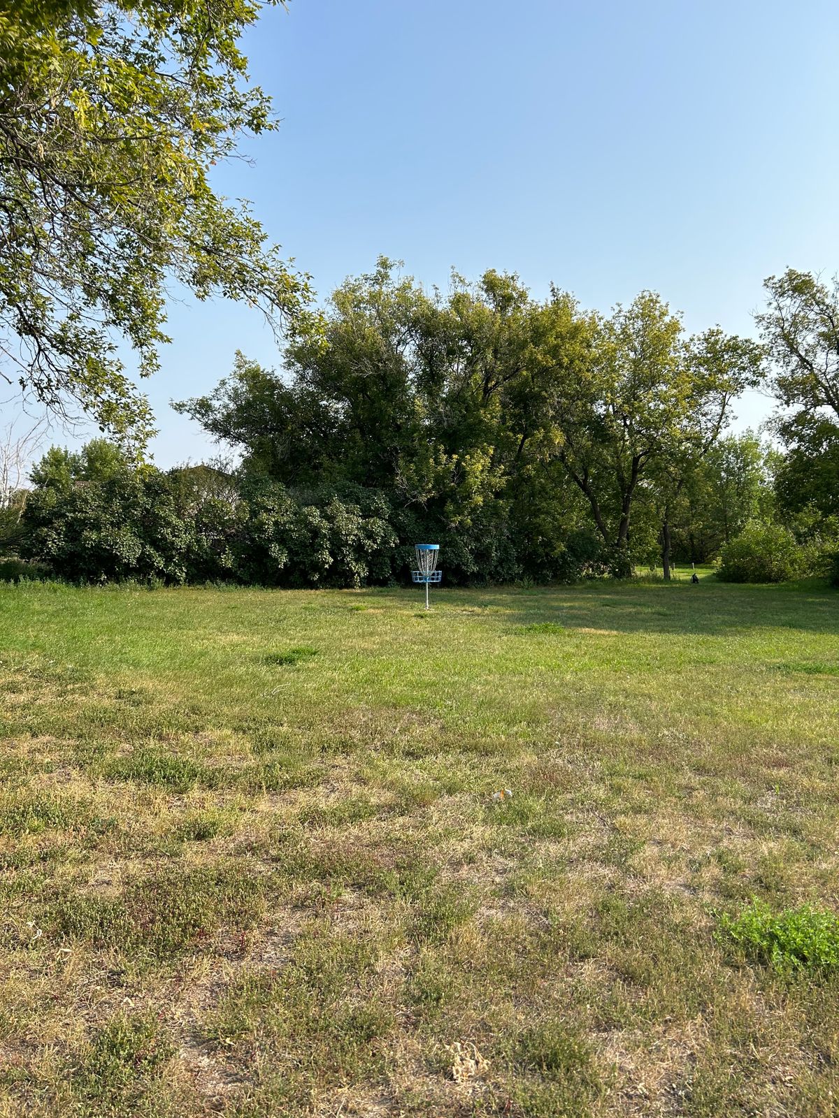 Hole 6