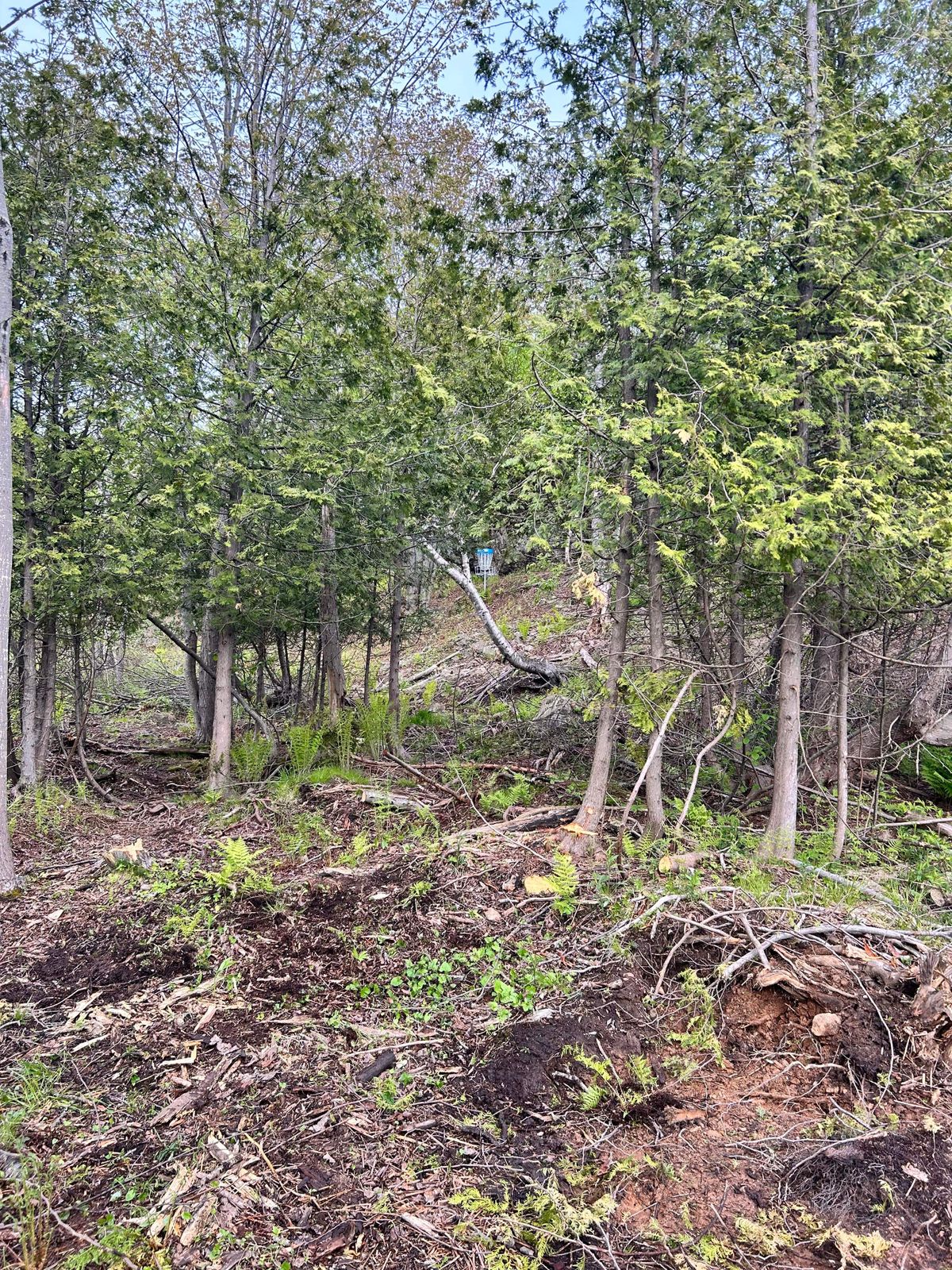 Hole 3