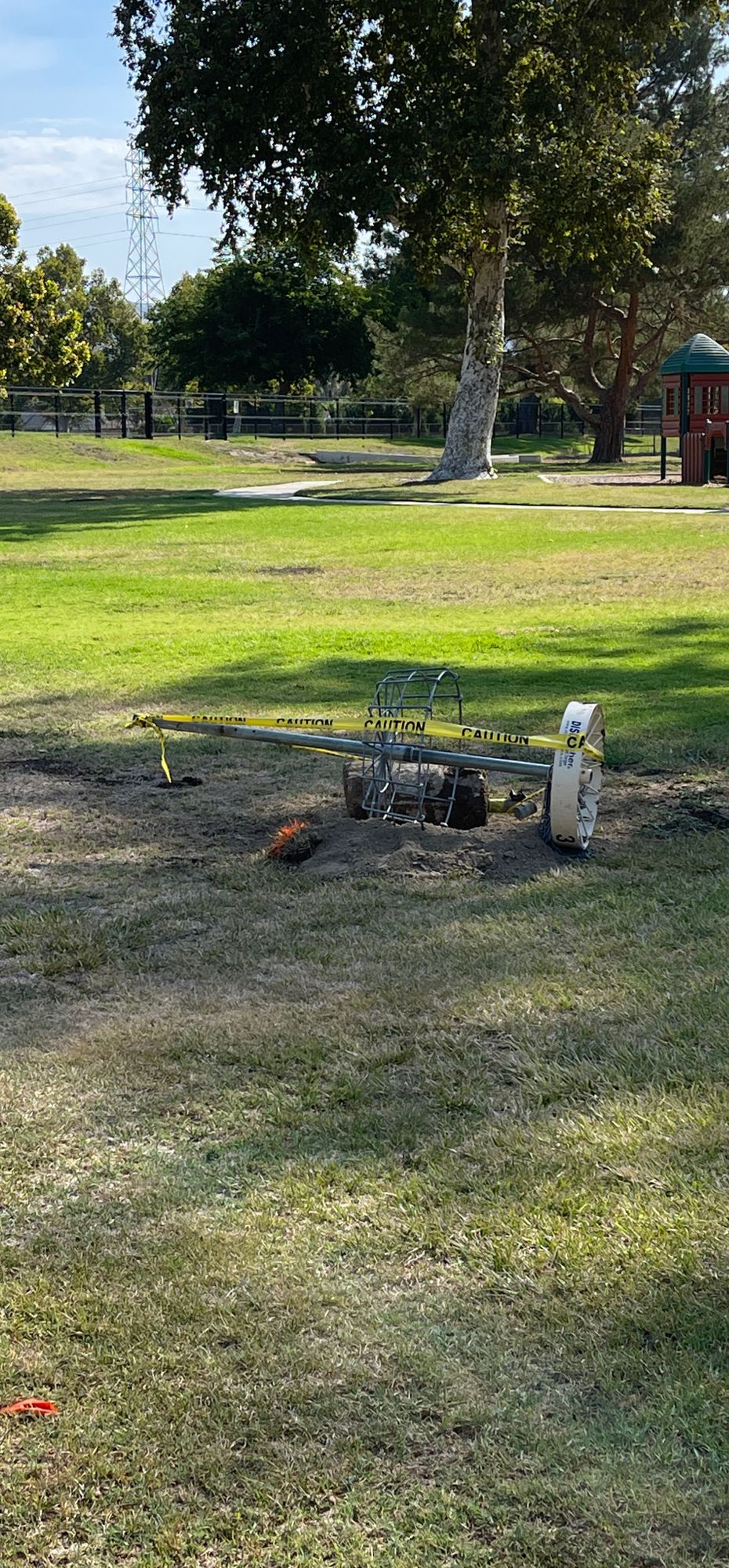 August 3, 2022. Basket #3 uprooted from ground.