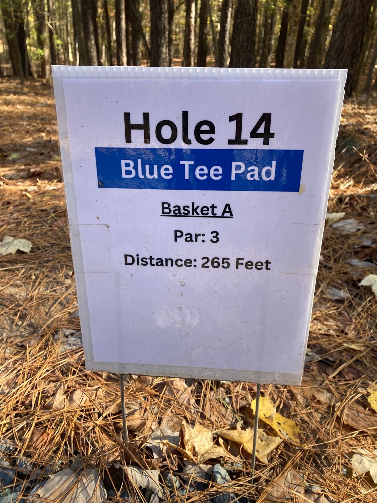 Hole 14 Blue Tee Sign