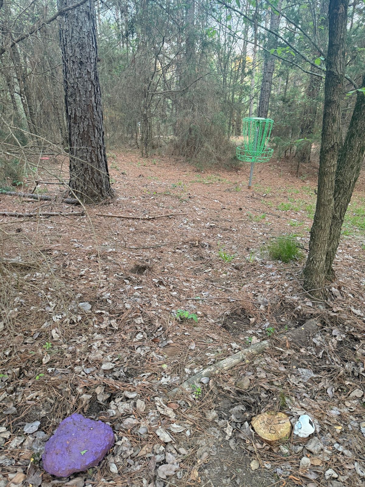 Hole 6 - Purple