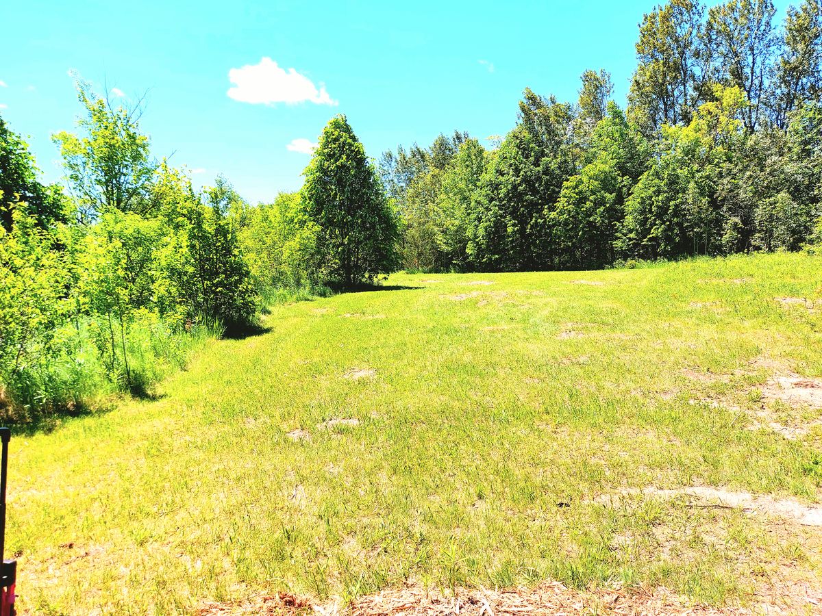 Hole seven . 🌲🌳🌲🌳