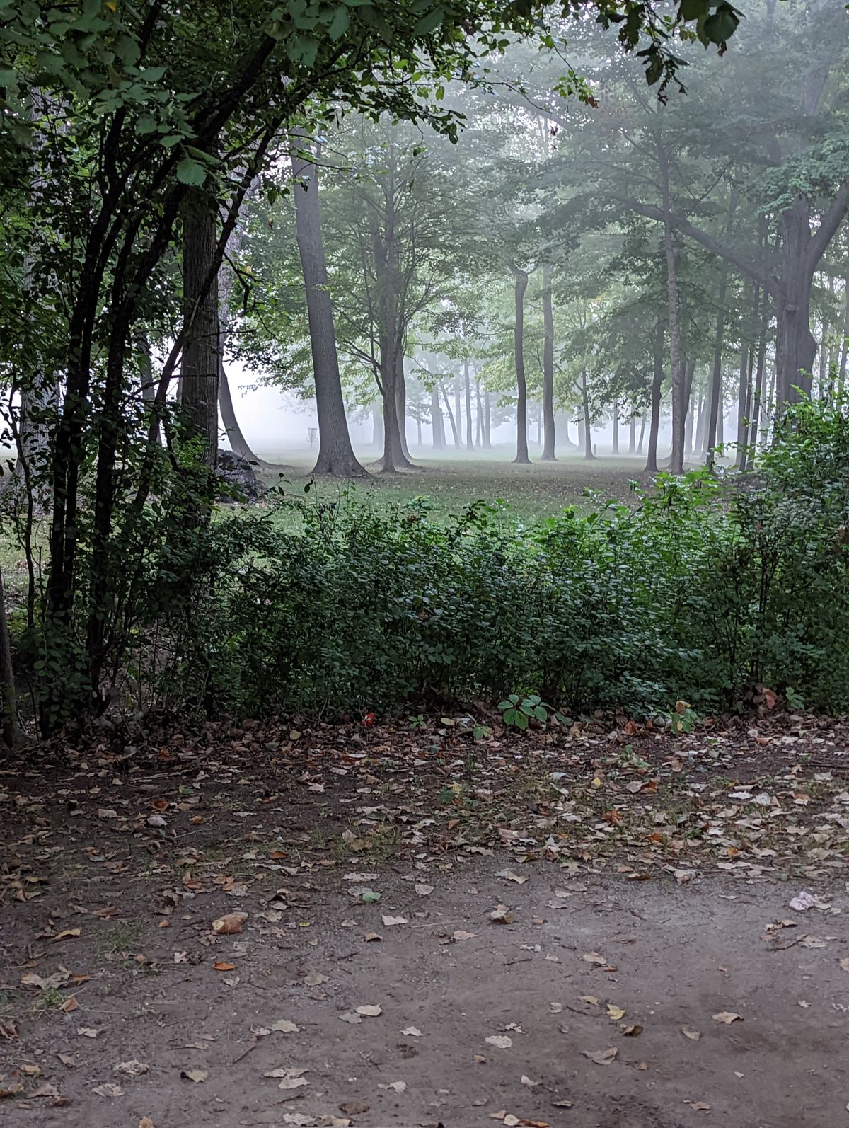 Hole 10 on a foggy fall morning