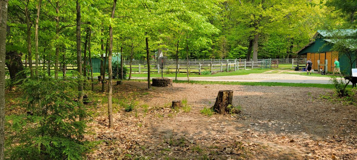 Hole 18 approach