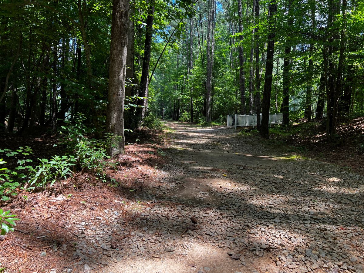 Hole 7 view from tee box (clear-ish area to right of tee sign when facing it)