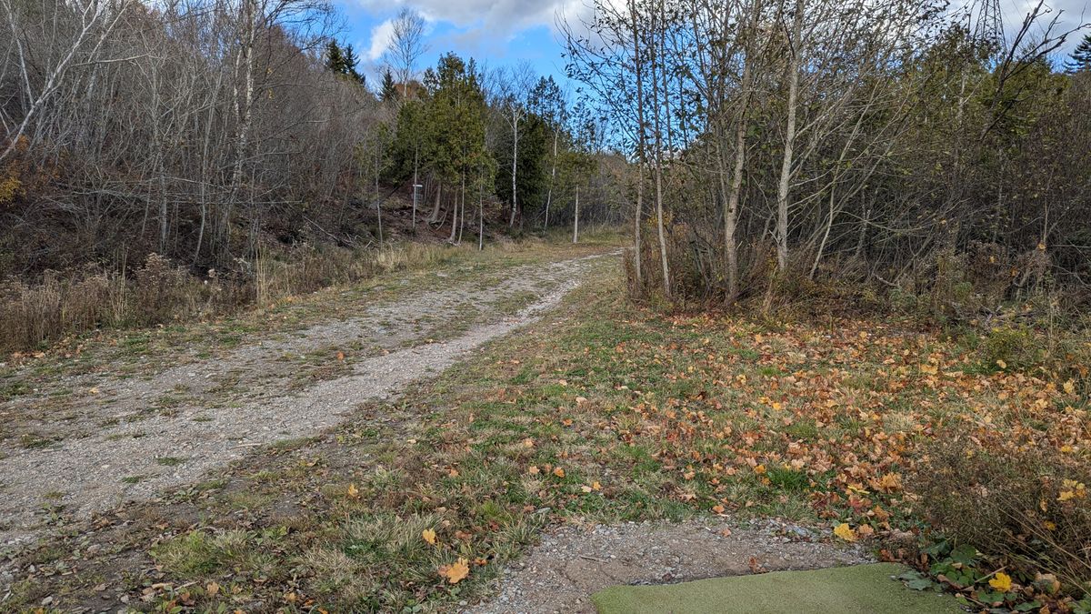 Hole 11