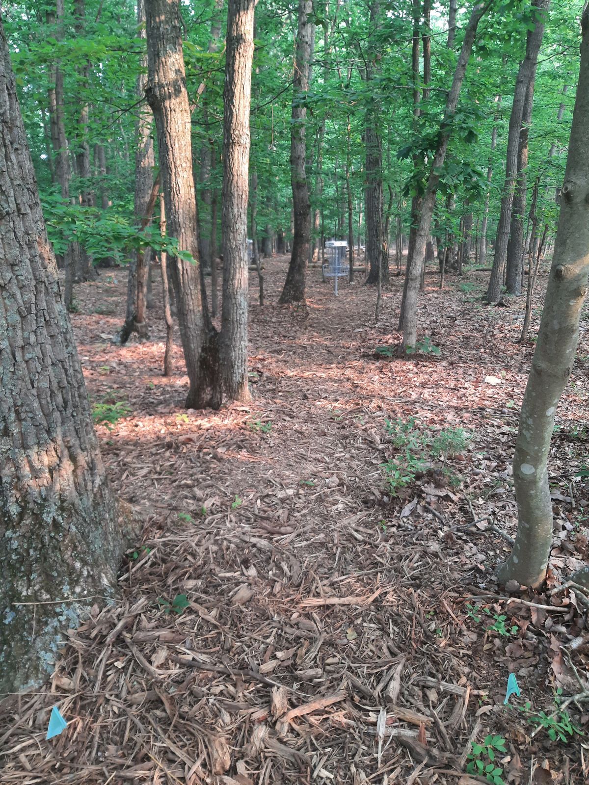 Hole 3 Tee