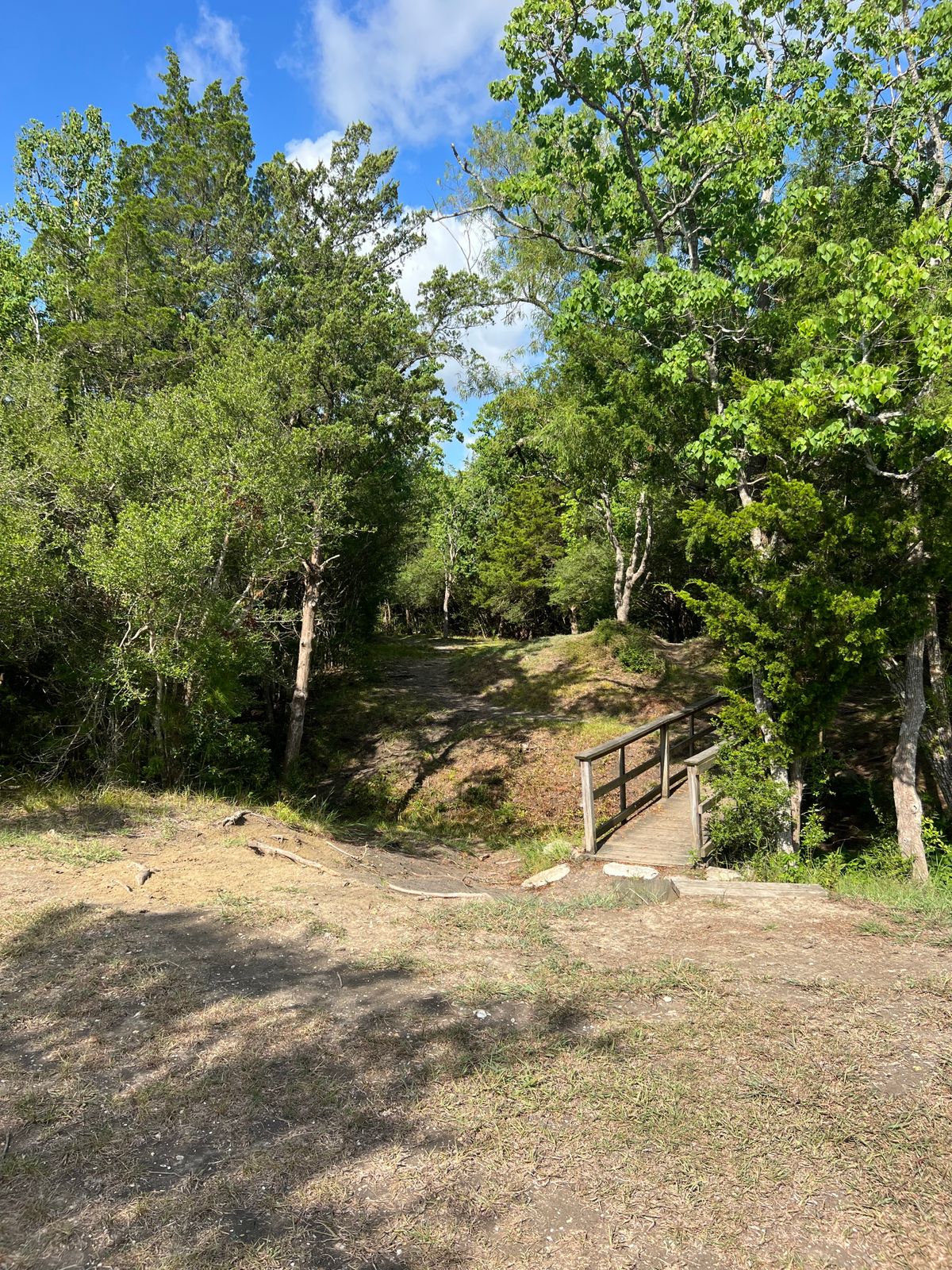 Hole 18 looking towards tee pad from basket.