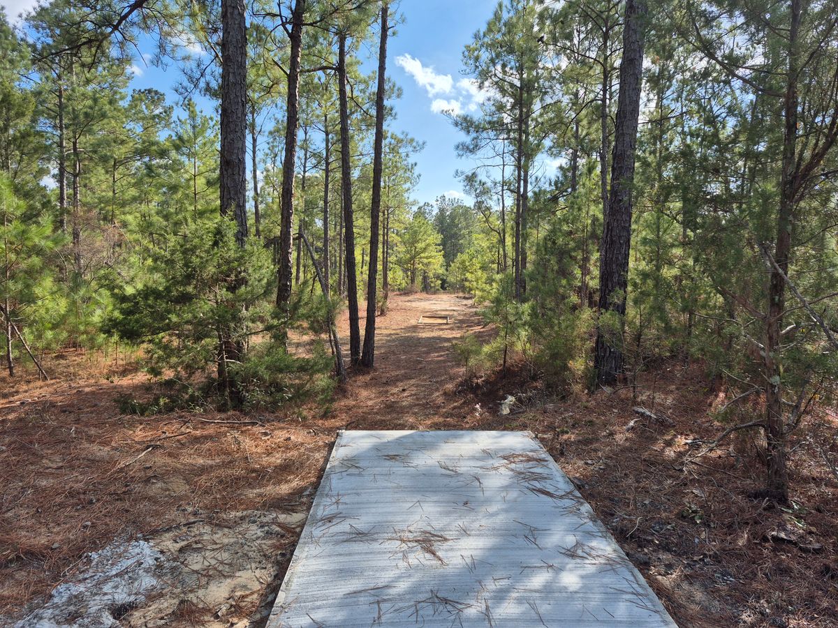 Hole 8 long pad